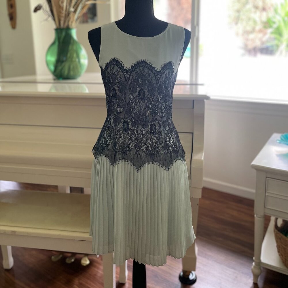 Victoria's Secret Pleated Chiffon Dress